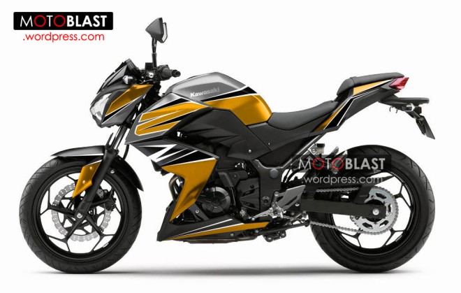 Kawasaki-Z250-2013-monster-dc3