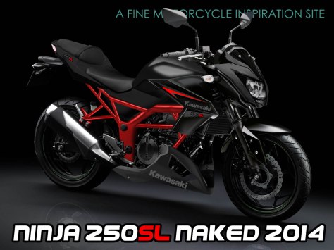 kawasaki ninja 250SL nakedbike1
