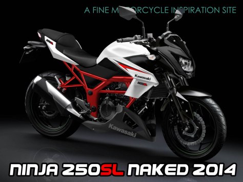 kawasaki ninja 250SL nakedbike2