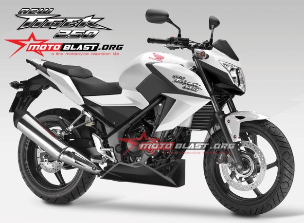 next new tiger 250-motoblast-1